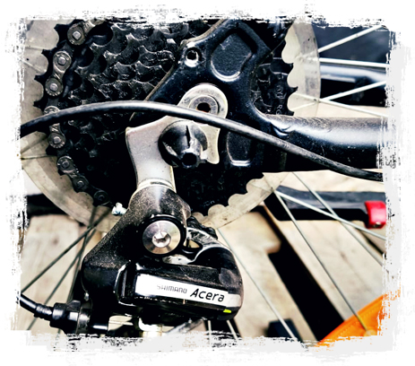 obrazek-bike